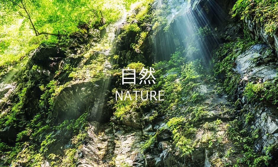 自 然ジャンルの8K映像