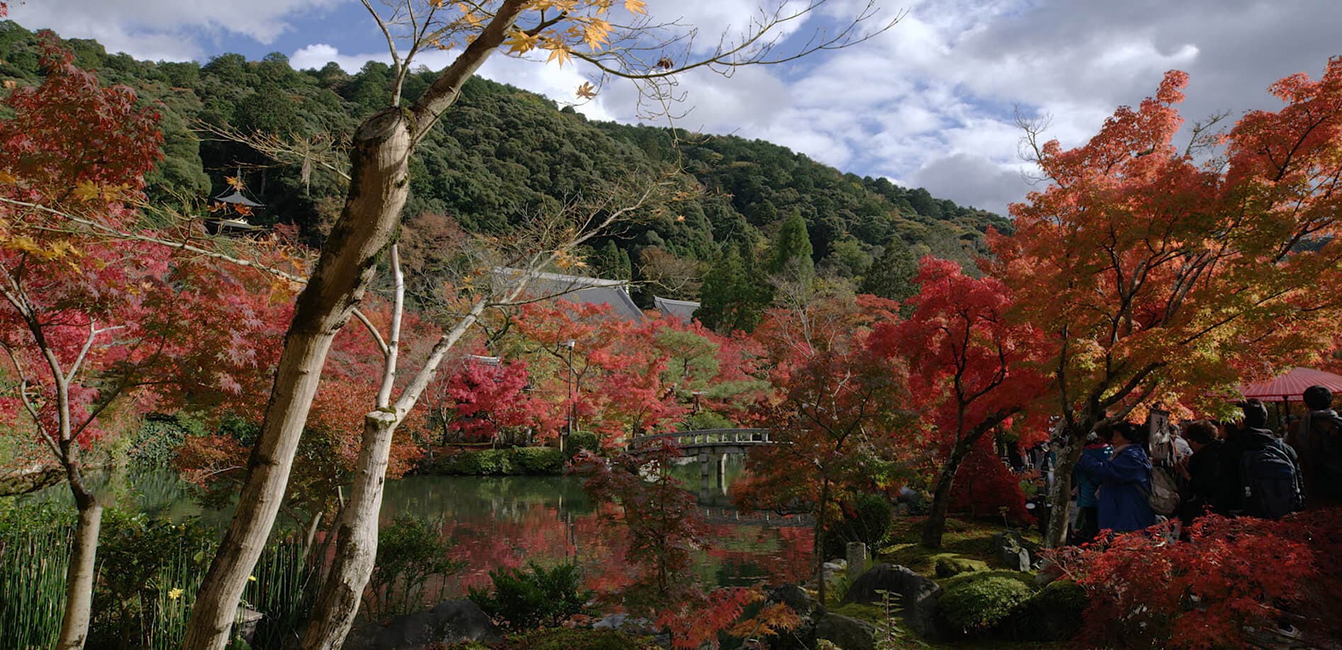 京都 紅葉 永観堂_8K