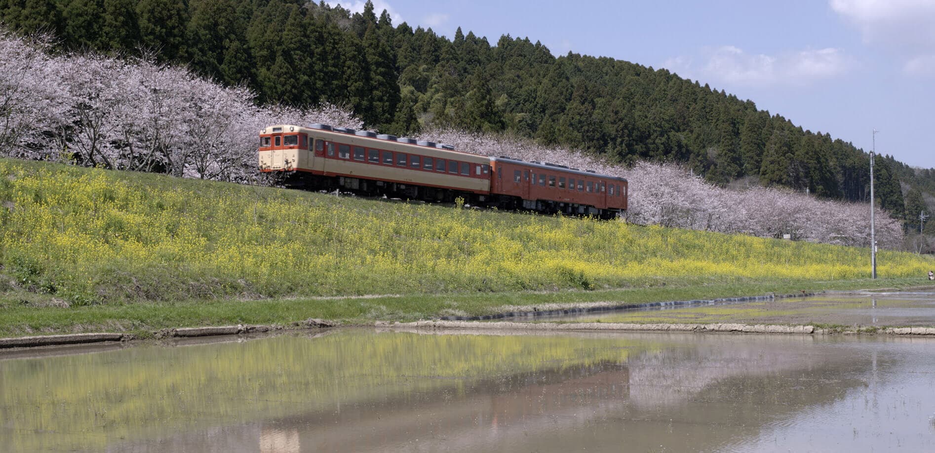 いすみ鉄道の春_8K