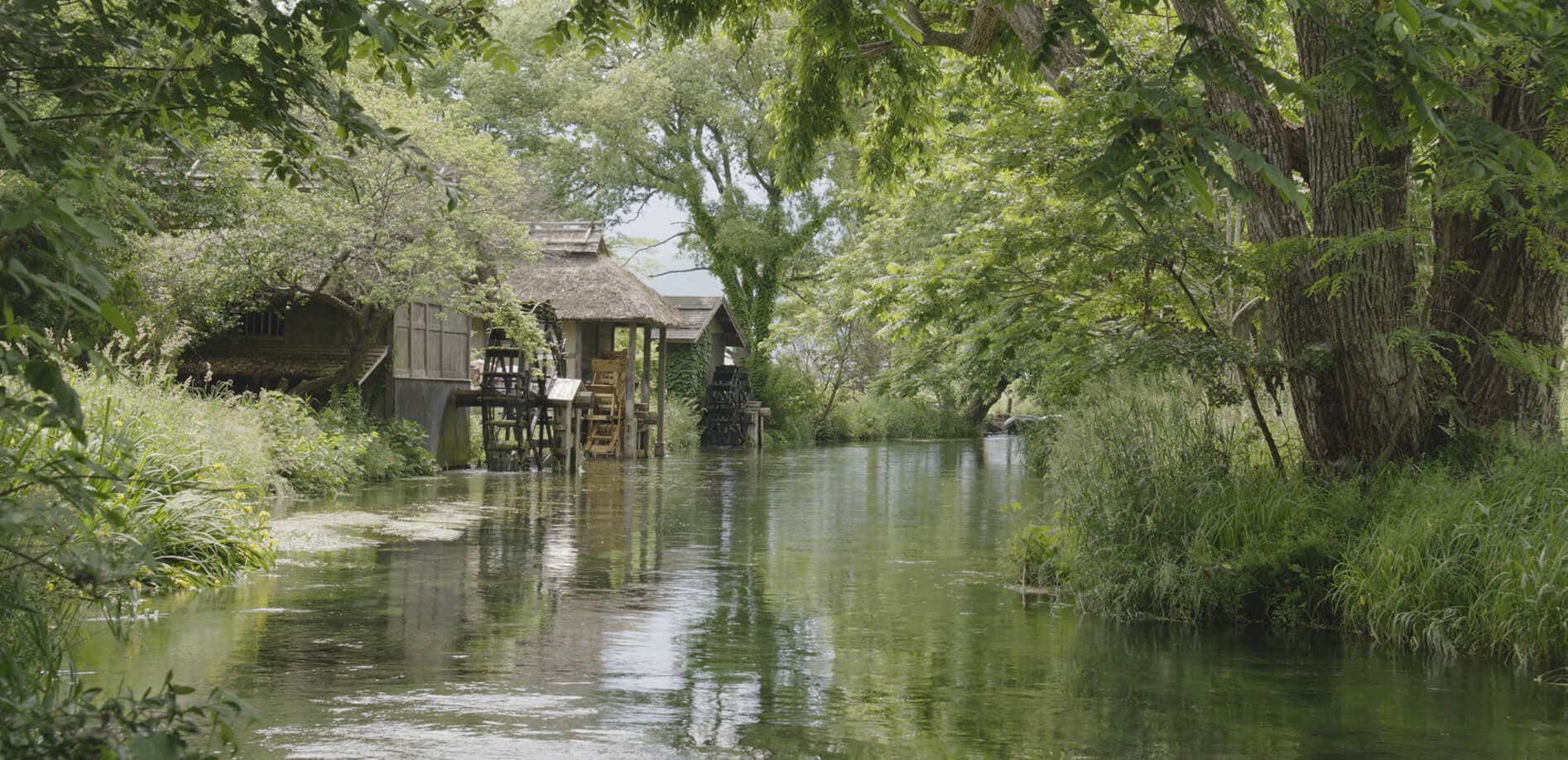 新緑の生い茂る安曇野 _8K