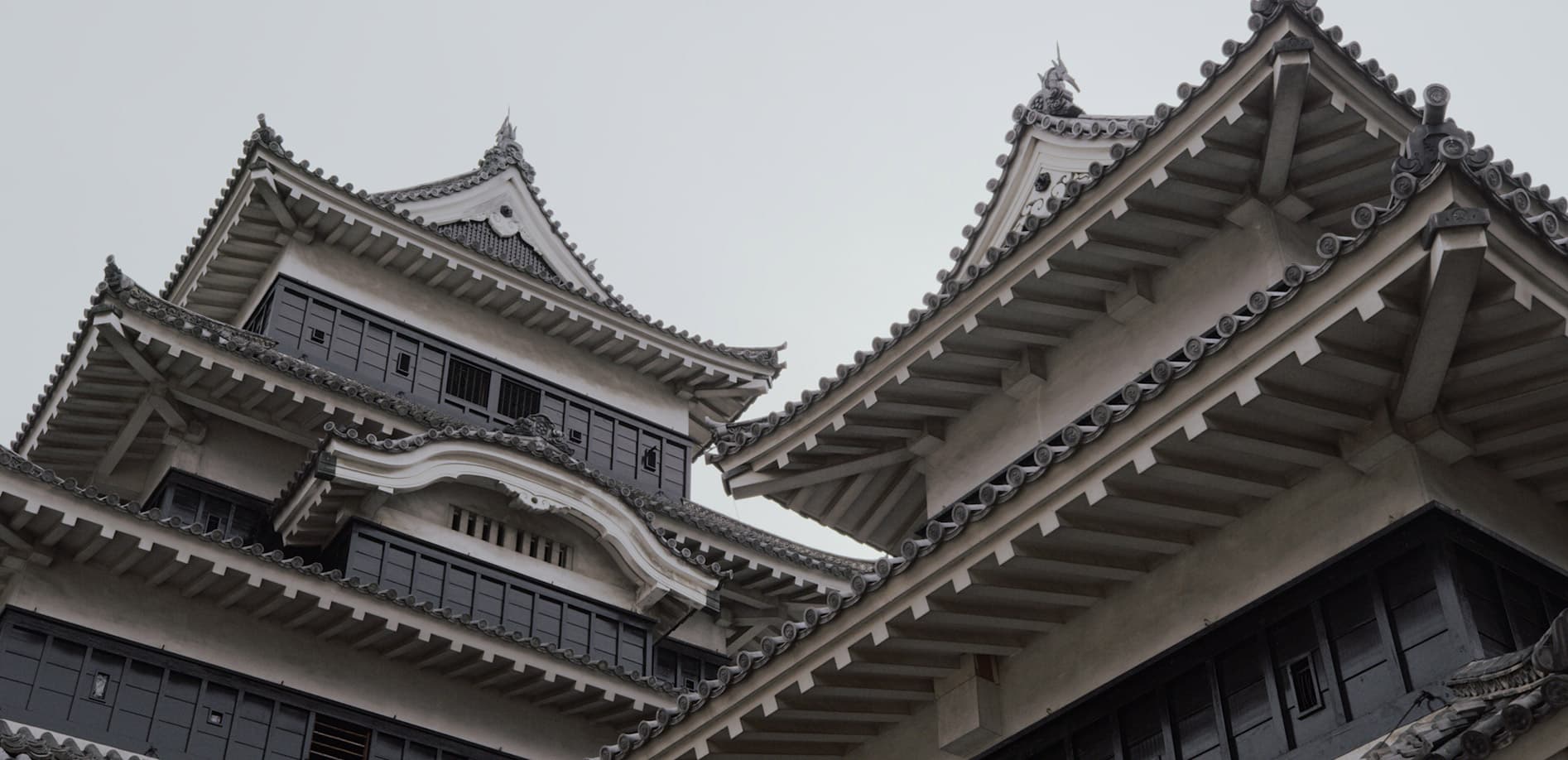 秀麗な黒と白のハーモニー・松本城_8K