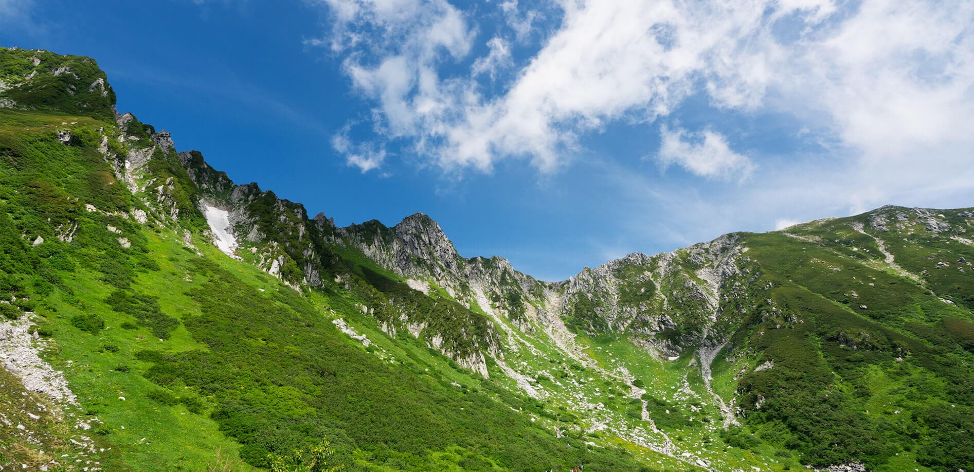標高2,612mの高みへ_8K
