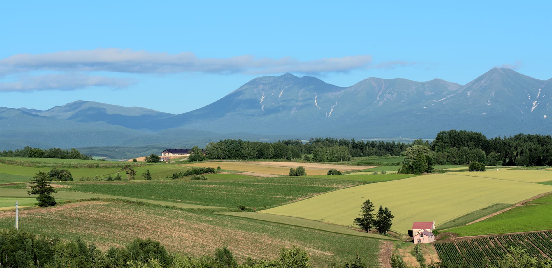 北の夏、美瑛の色とは_8K