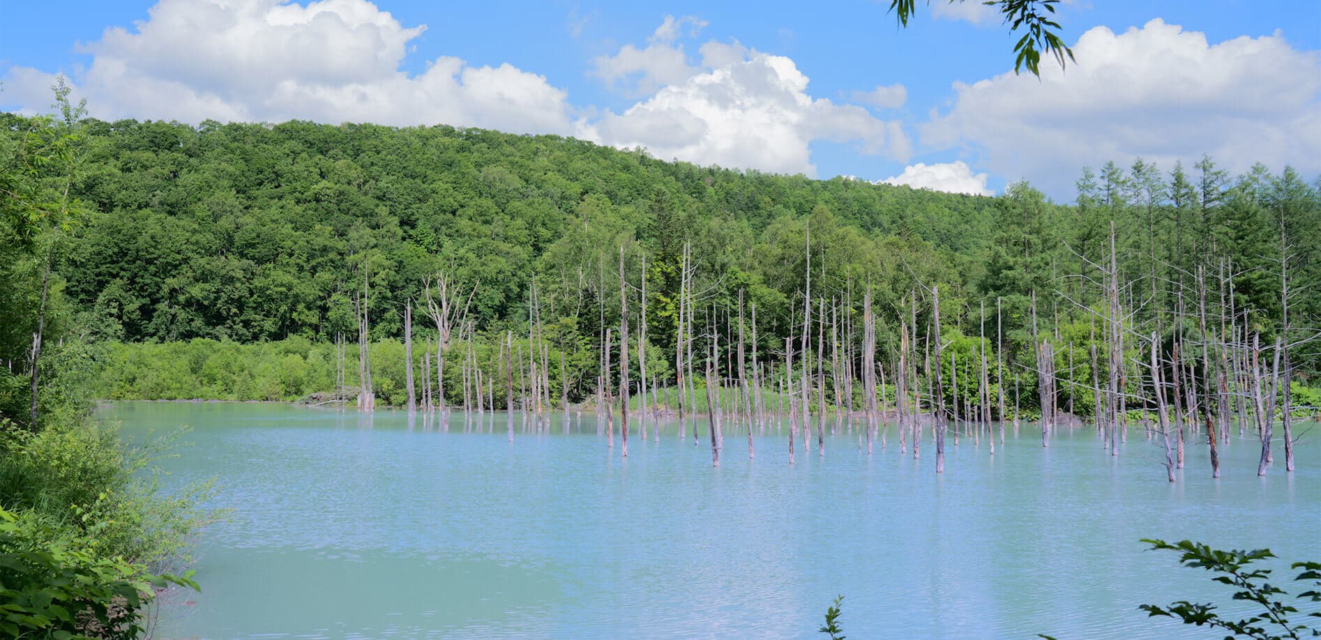 TL 奇跡が生み出したブルー_8K
