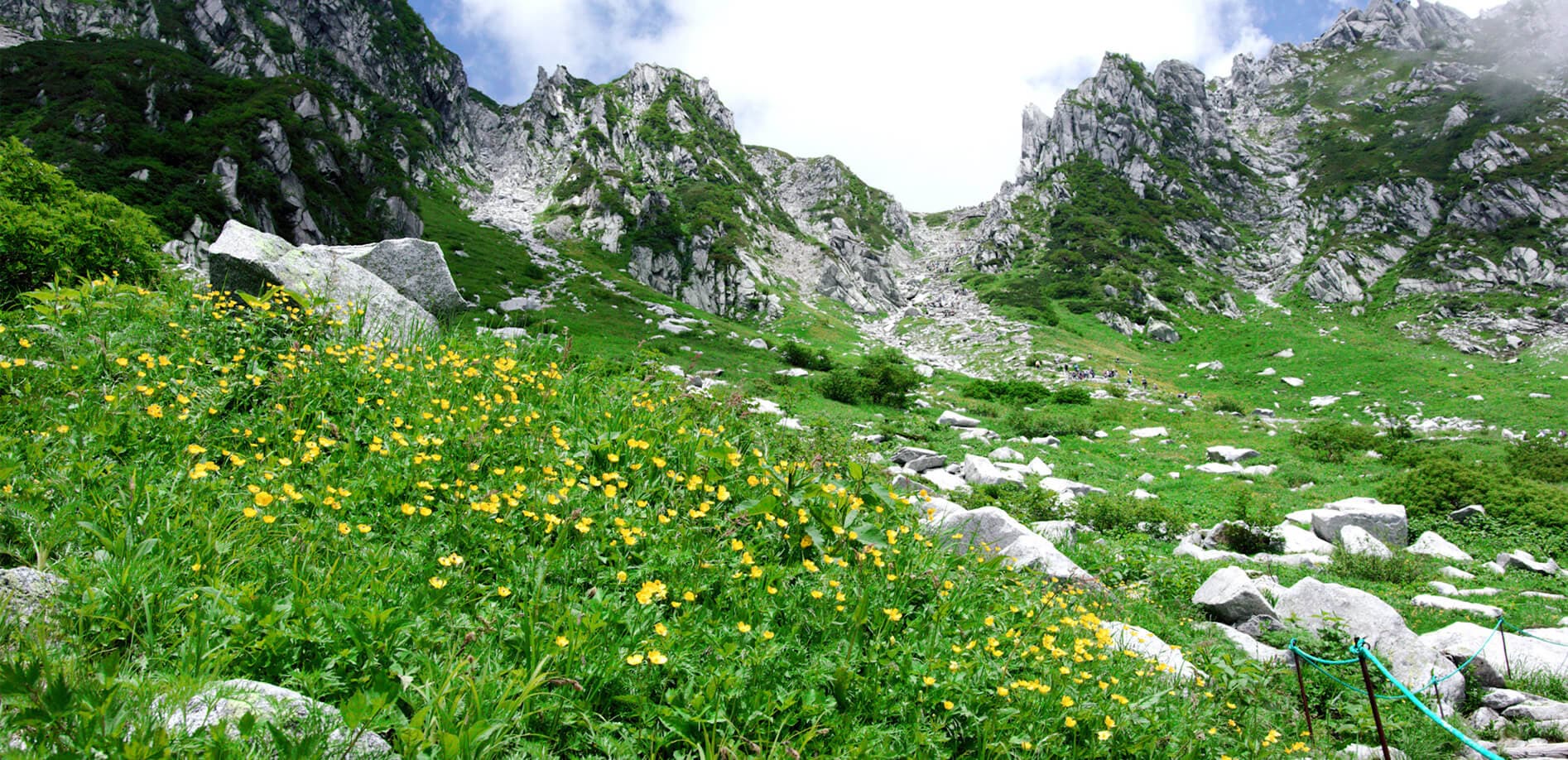 御嶽山と千畳敷カールの高山植物_8K