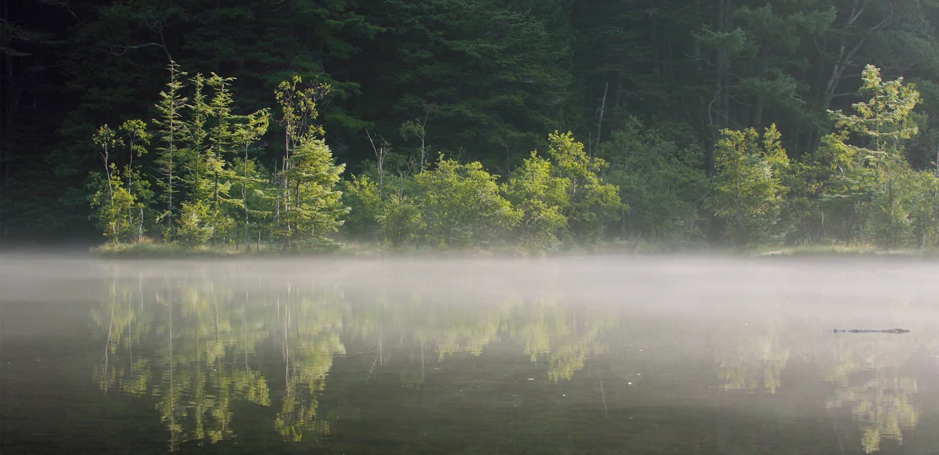 朝靄の幻影、明神池_8K