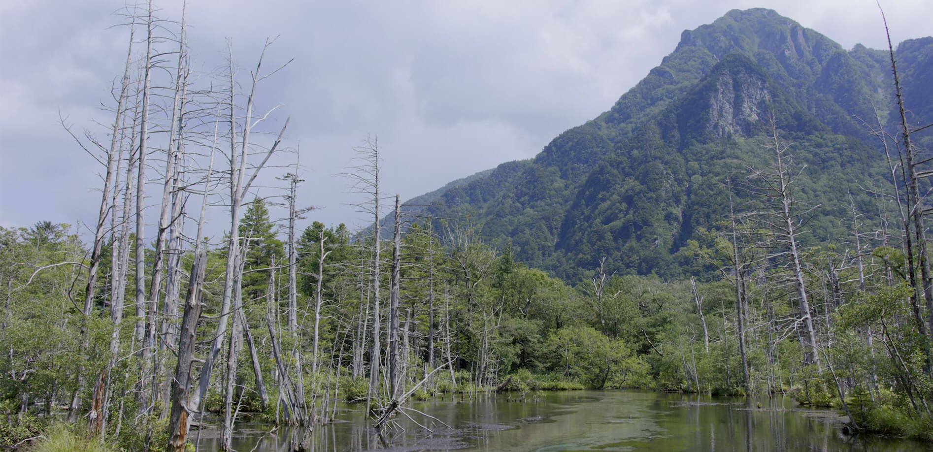 夏限定！風光明媚な上高地の素顔_8K