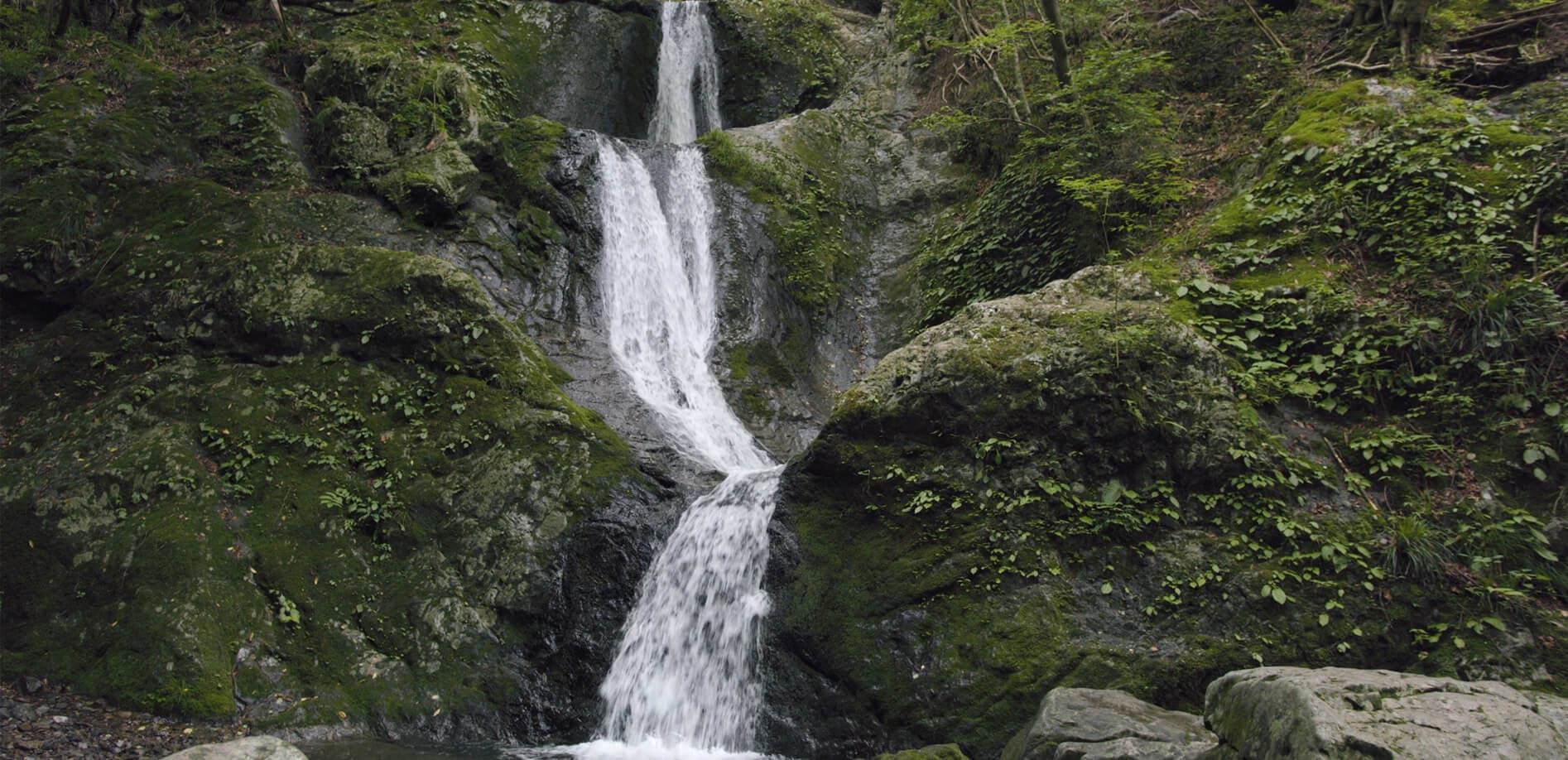 東京の秘境、海沢三滝_8K