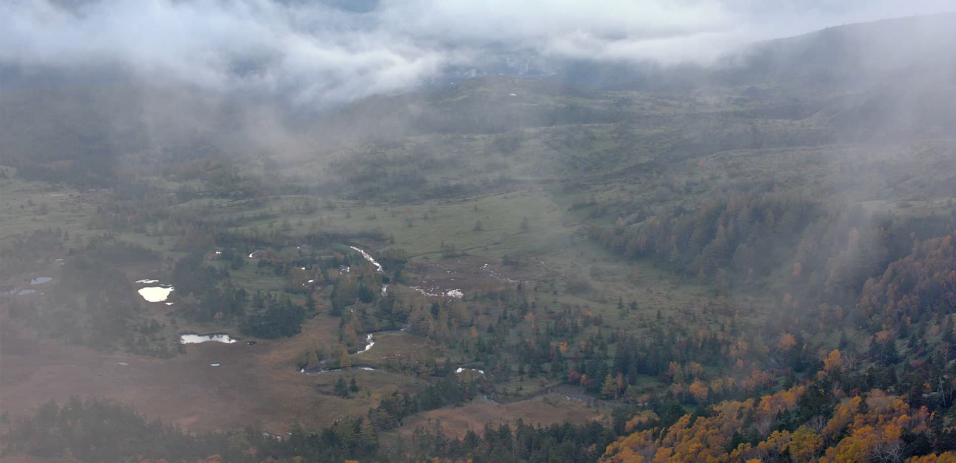 朝霧の幻想、芳ヶ平湿地群の紅葉_8K