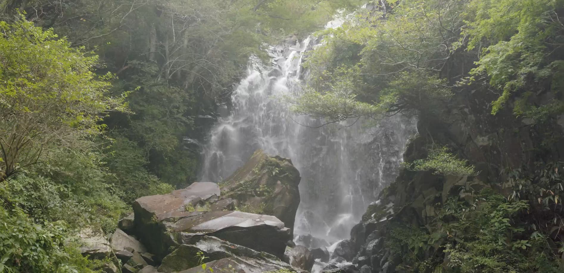 生き続ける_飛龍の滝 _8K