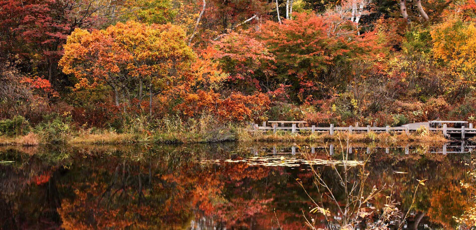 志賀高原の湖と紅葉めぐり_8K