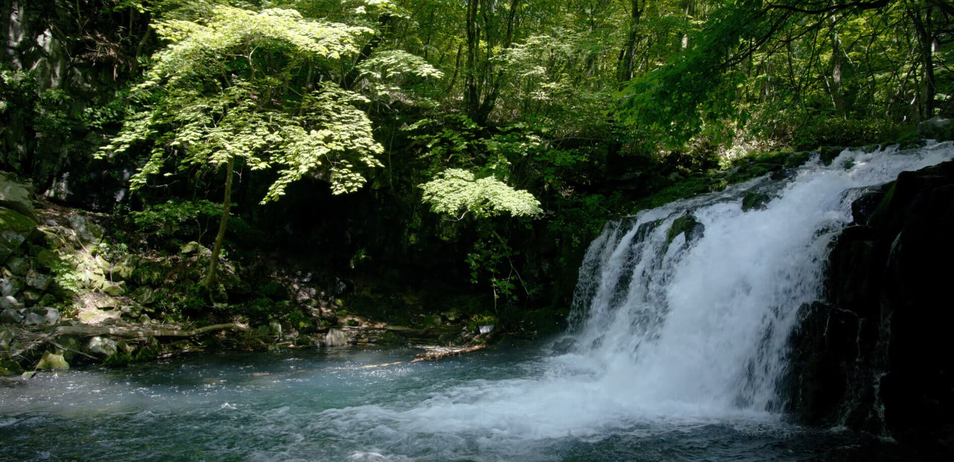 マイナスイオンを満喫、蓼科大滝_8K