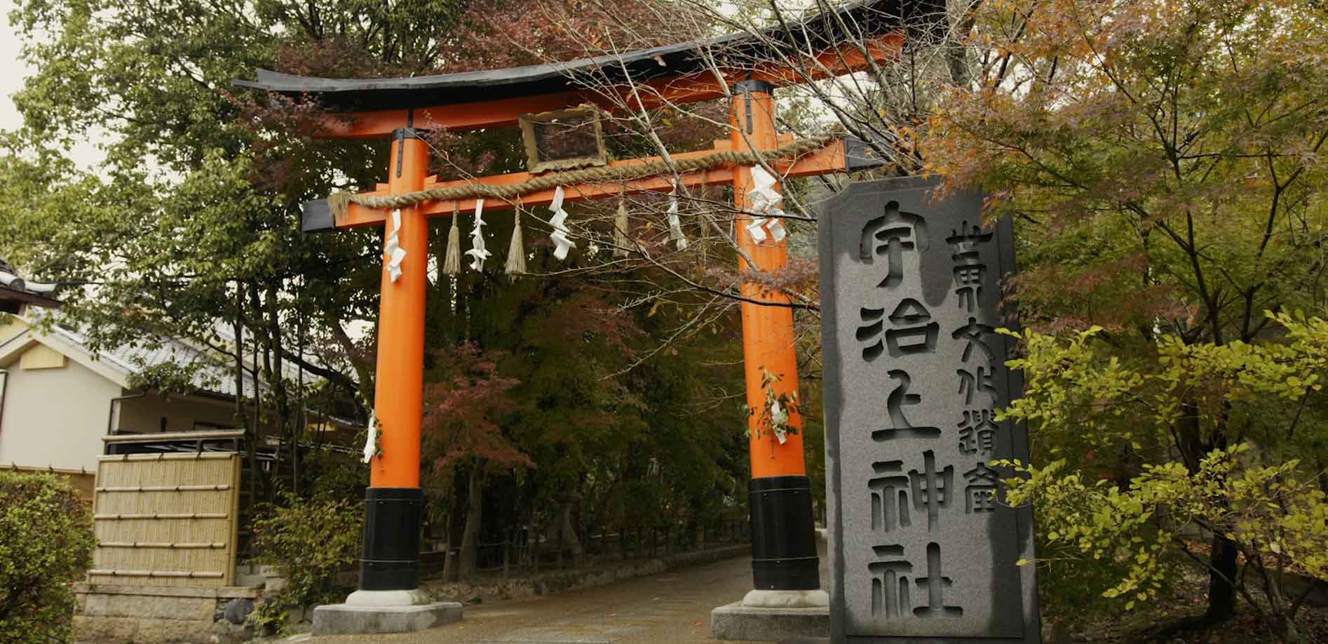 京都・日本最古の宇治上神社_8K