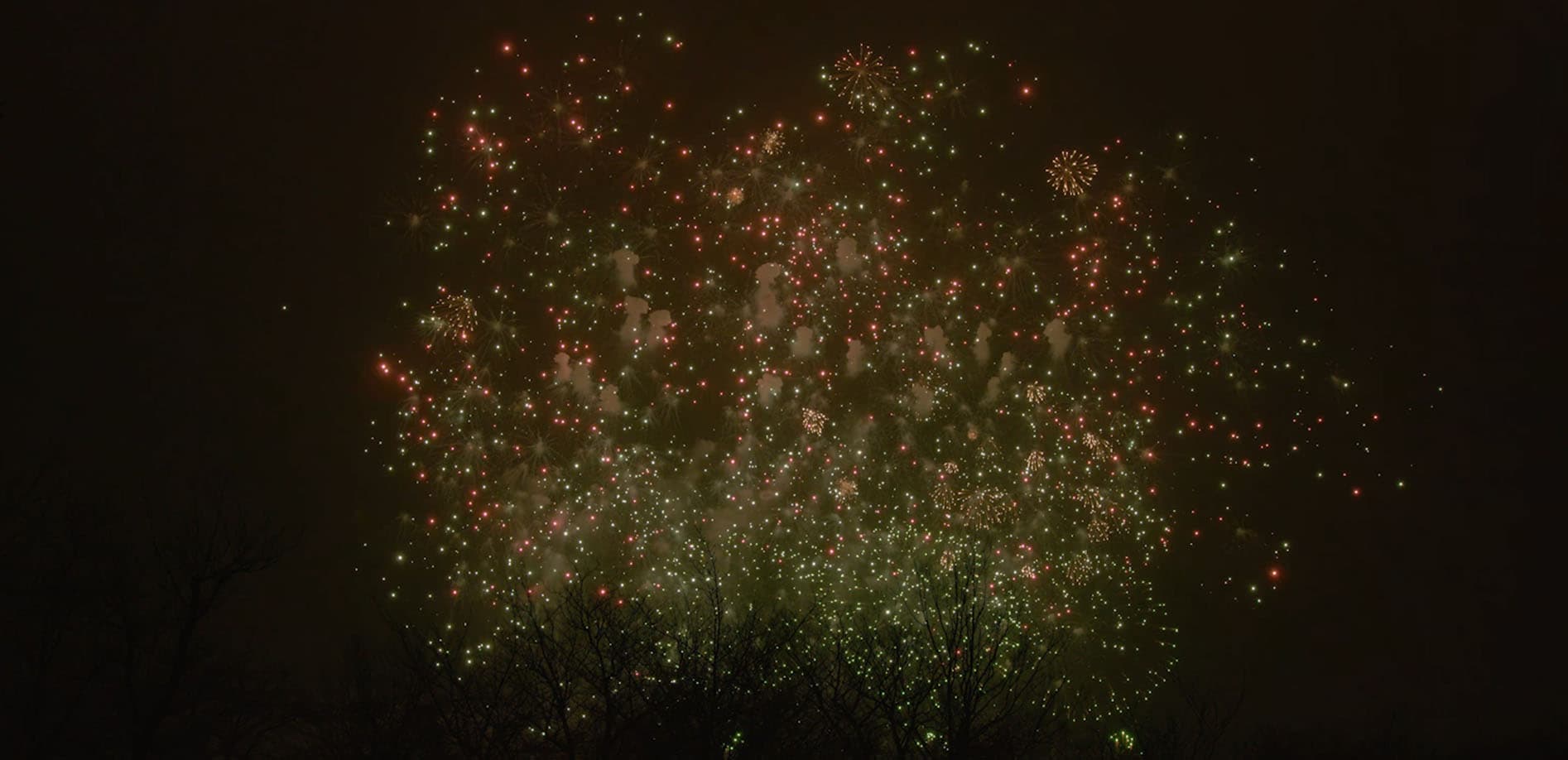 夜空を彩る_長岡雪しか祭り_8K