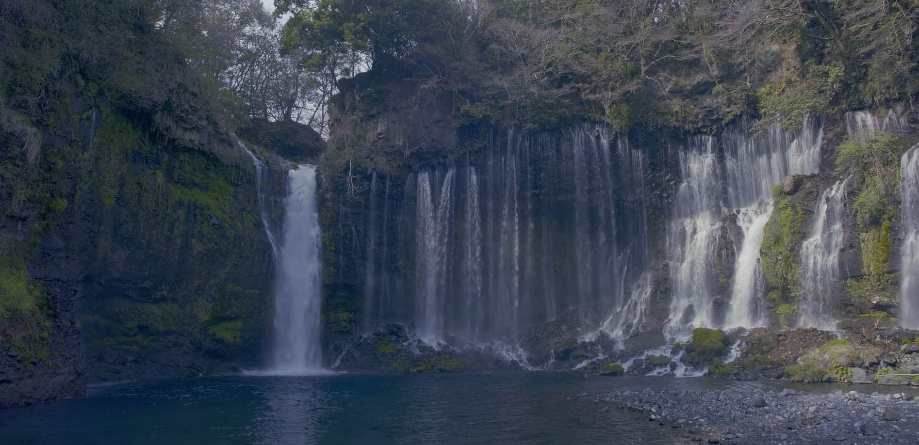 自然の神秘、静岡・白糸の滝_8K