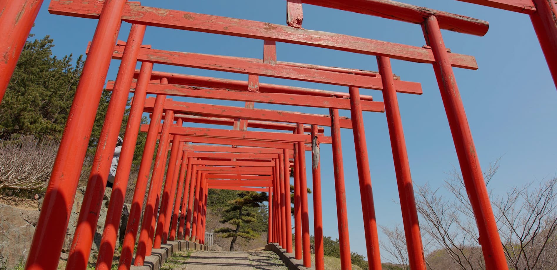 異空間、高山稲荷神社_8K