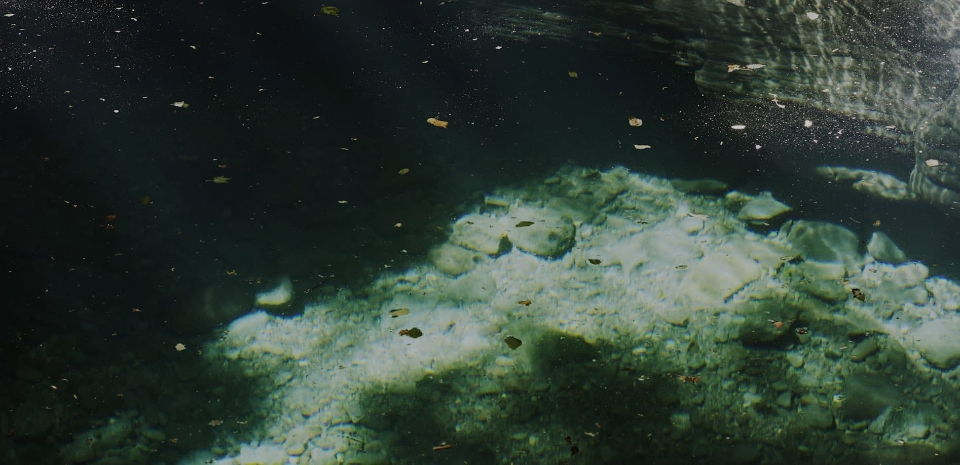 栃木の神秘・幻の「おしらし?の滝」_8K