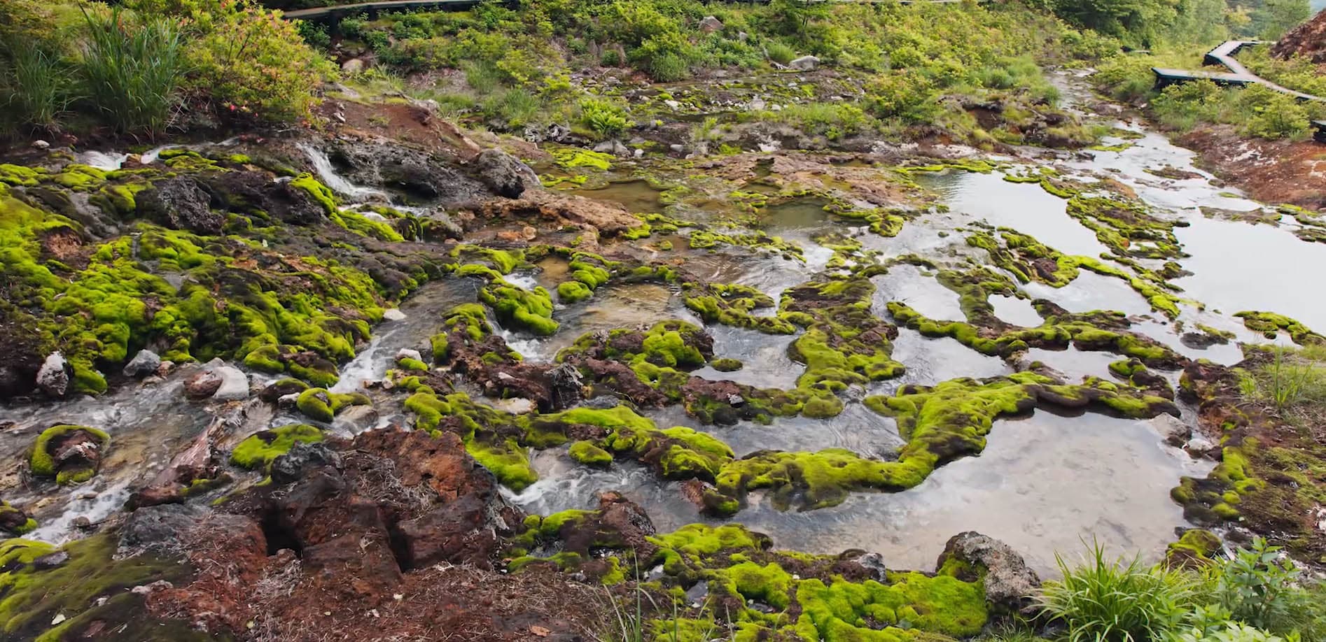 群馬 チャツボミゴケ公園・穴地獄_8K