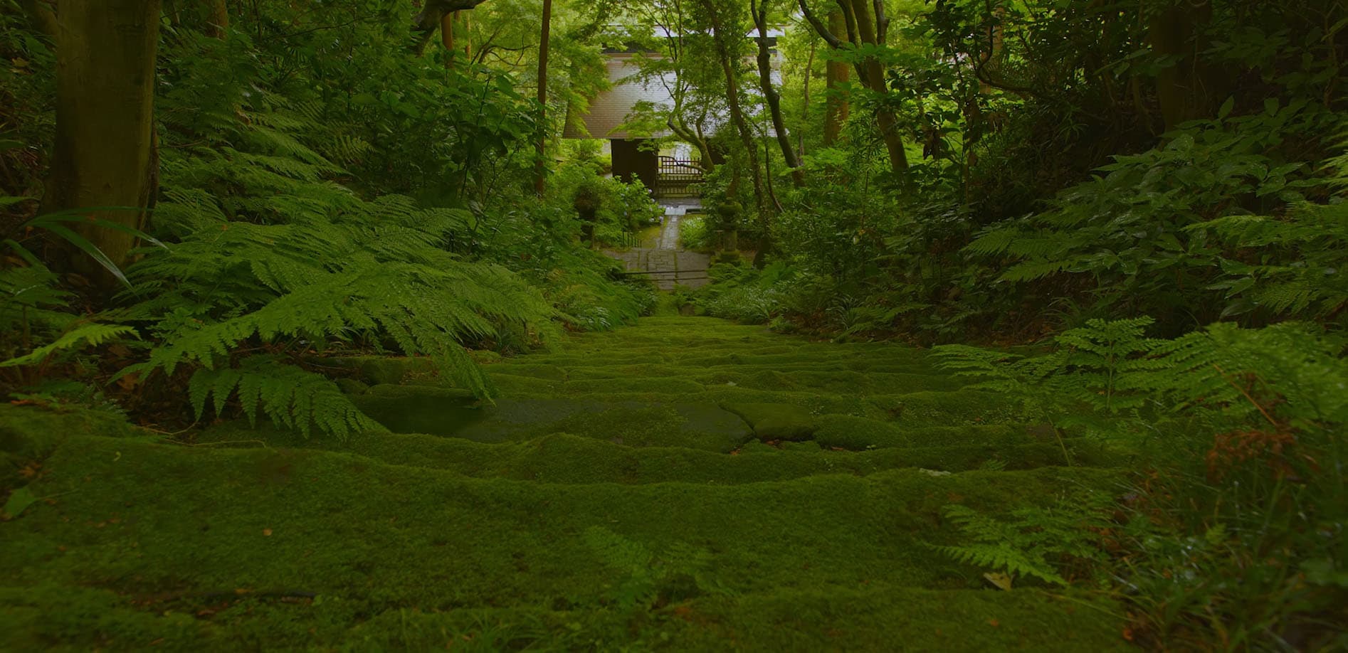 鎌倉・妙法寺_8K