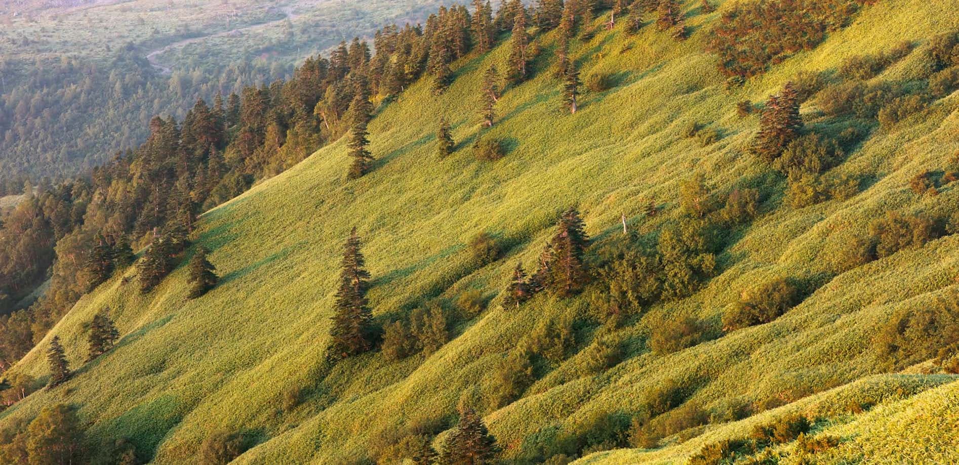 朝焼けの渋峠_8K