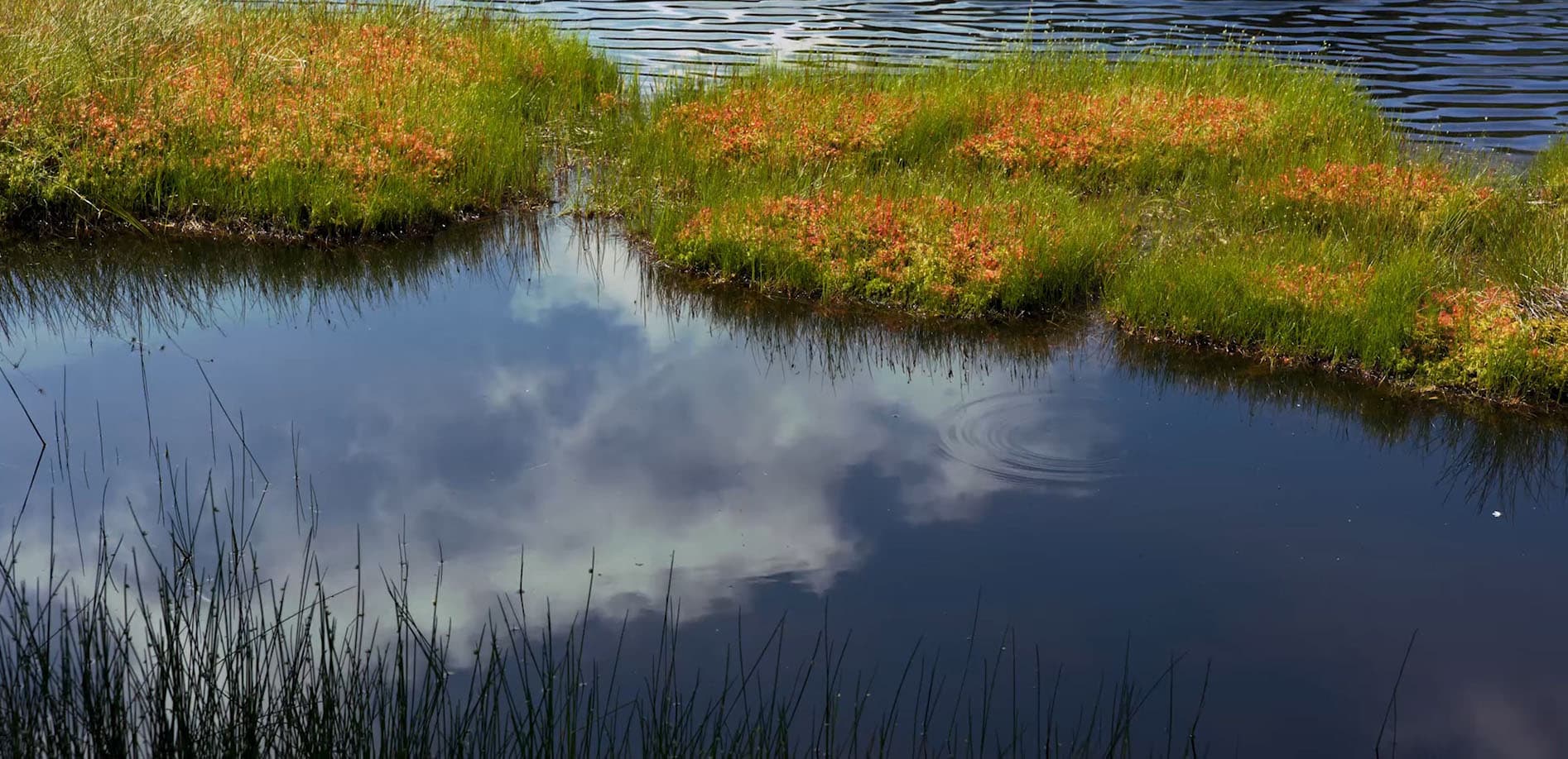長野・志賀高原～渋池_8K