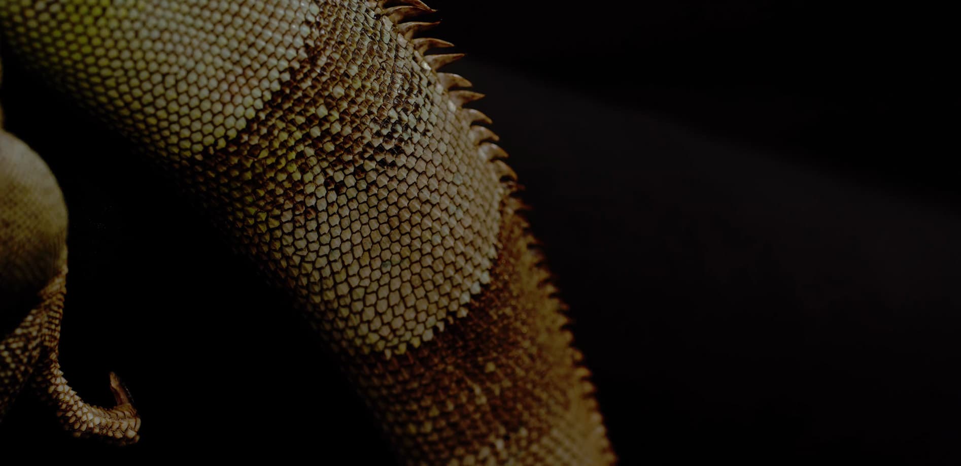 What am I ? vol.2_8K