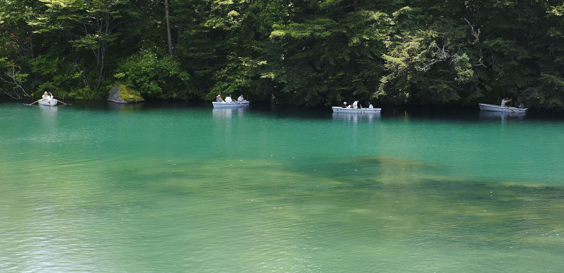 五色沼湖沼群～毘沙門沼_8K