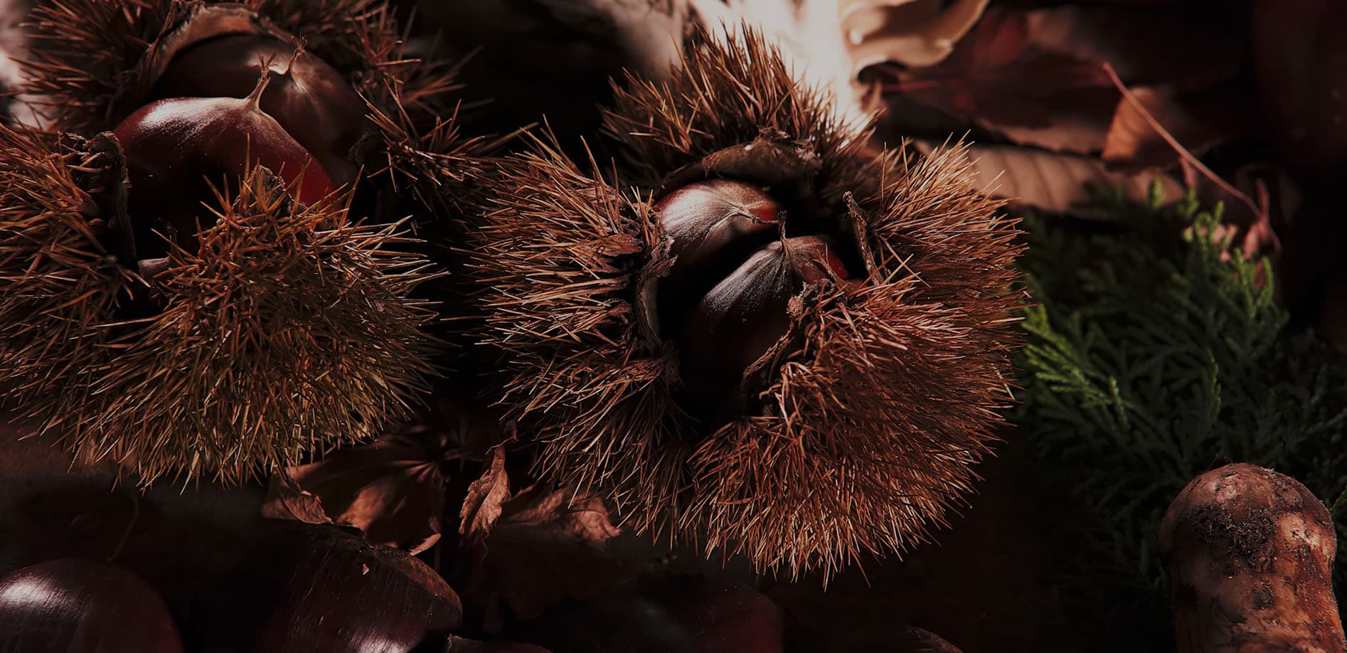 Close up 秋の味覚_8K