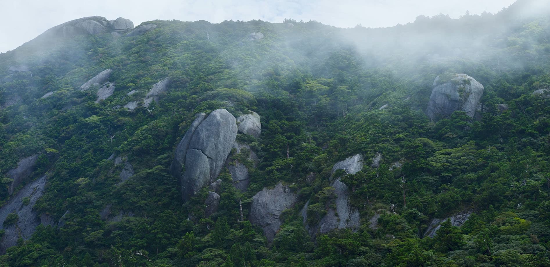 屋久島 vol.1 海と山