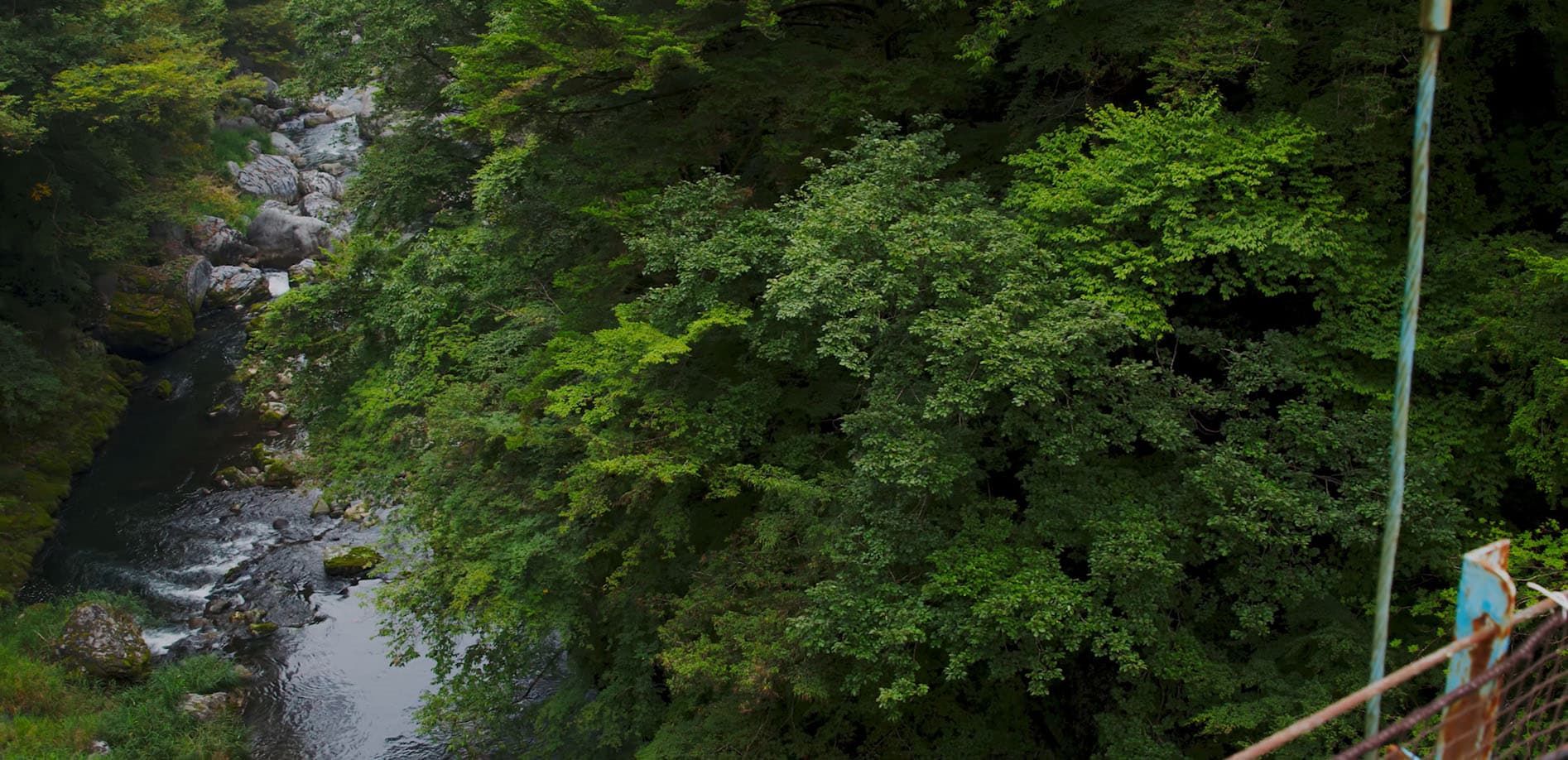 奥多摩 しだくら橋_8K