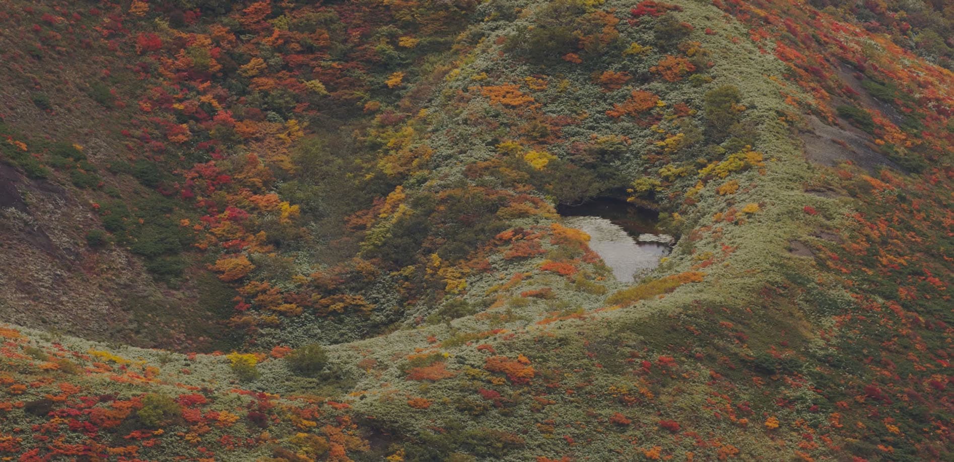 秋田駒ケ岳 Vol.2 初秋の色模様