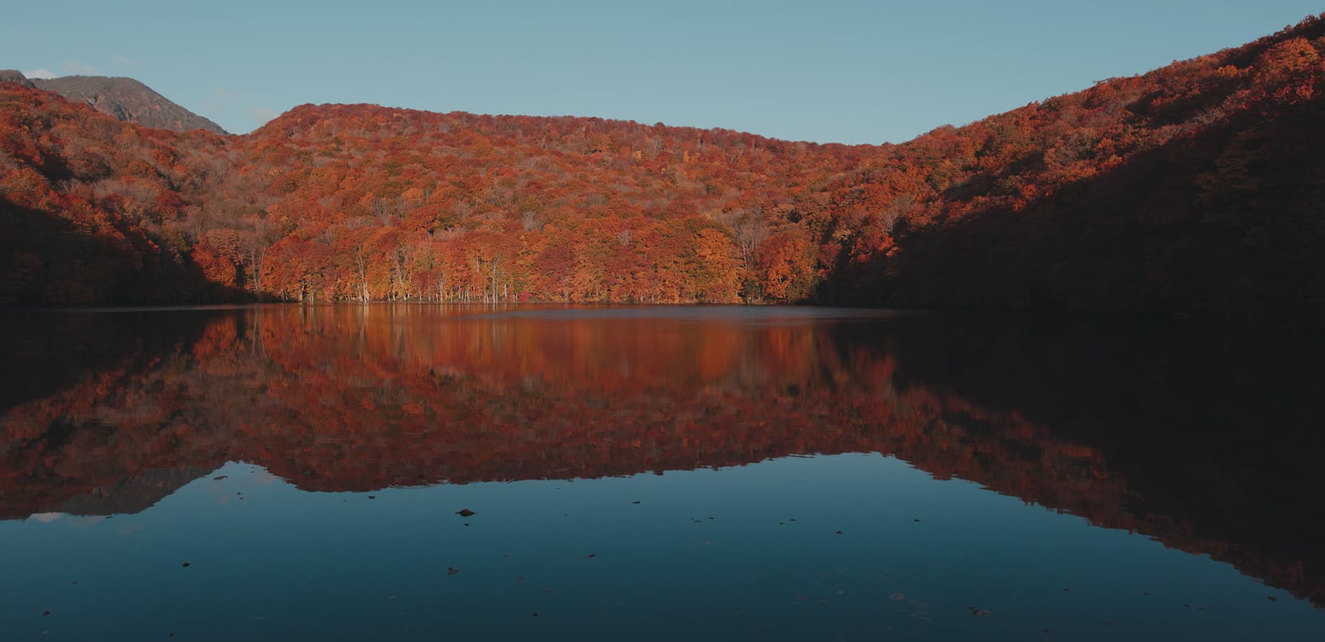 青森・紅に燃える蔦沼_8K