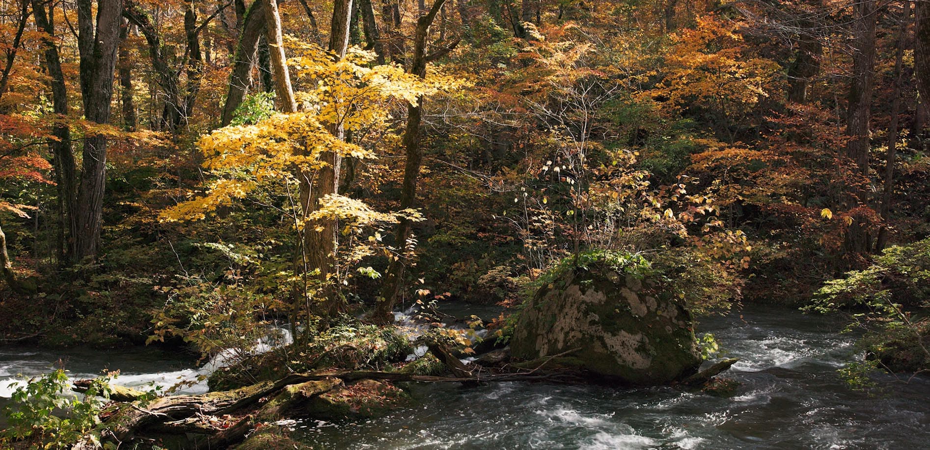 奥入瀬渓流 vol.3 阿修羅の流れ_8K