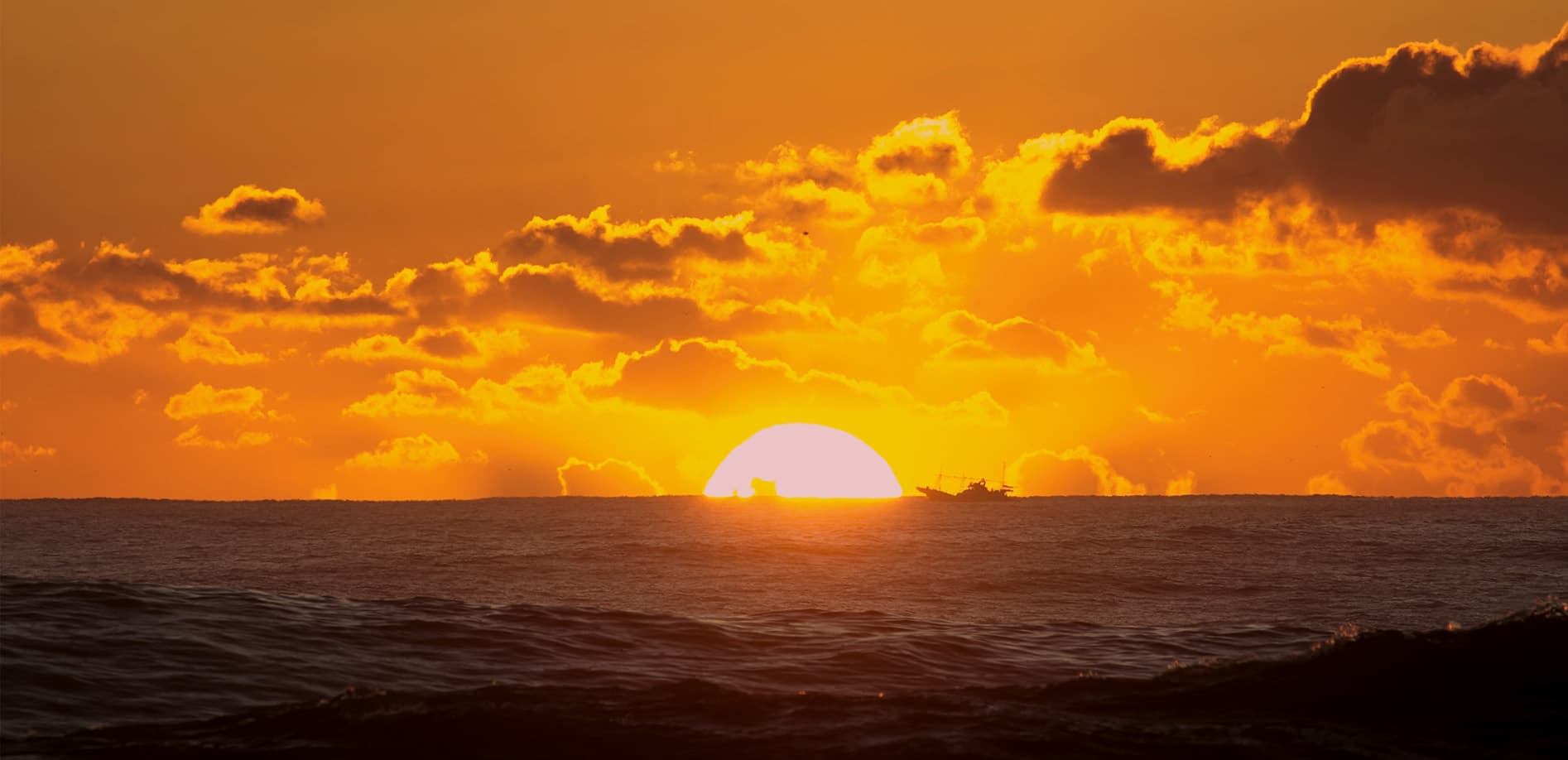 大洗磯前神社 神磯の鳥居 暁光_8K
