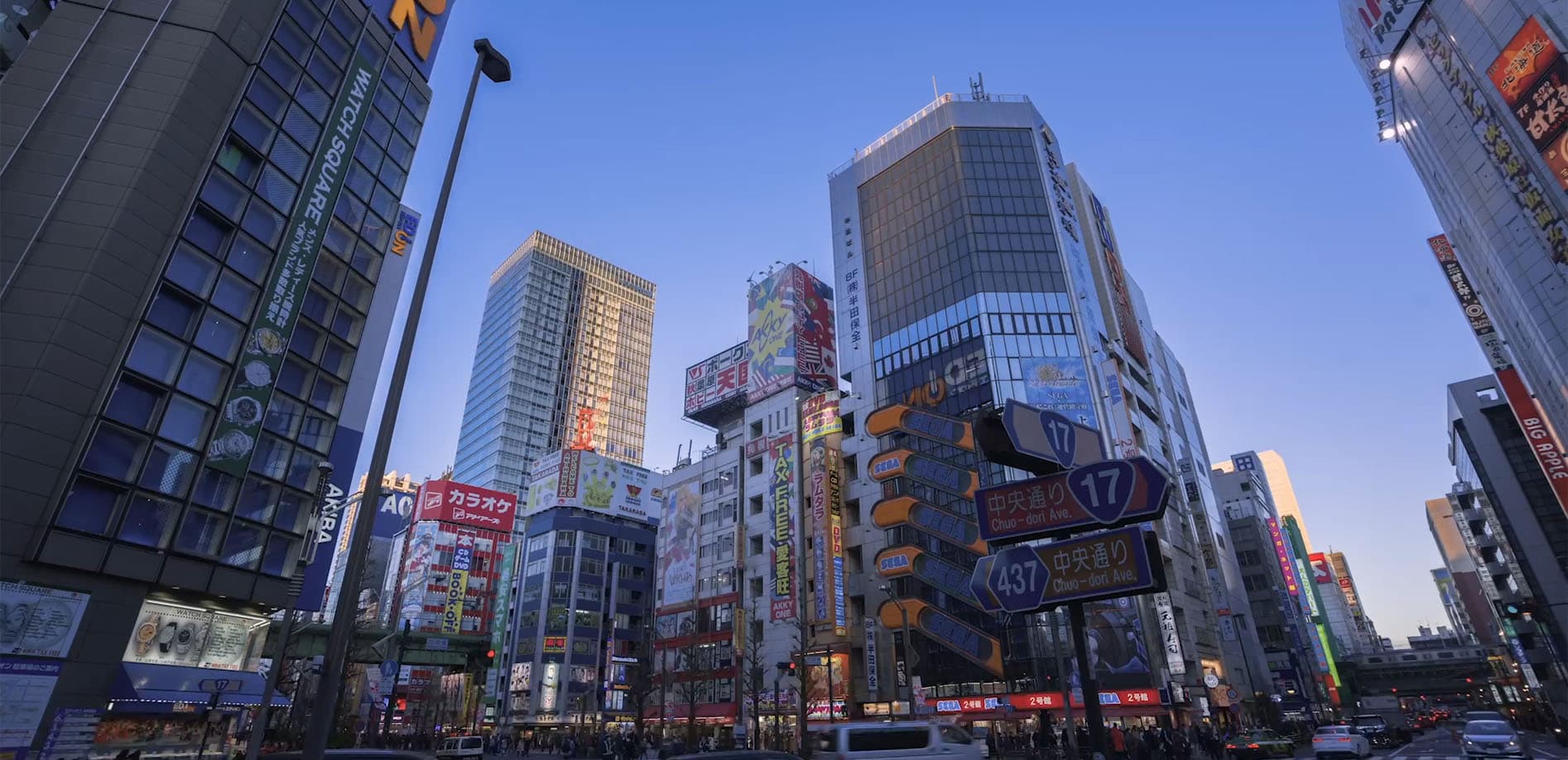 TL_秋葉原歩行者天国_8K