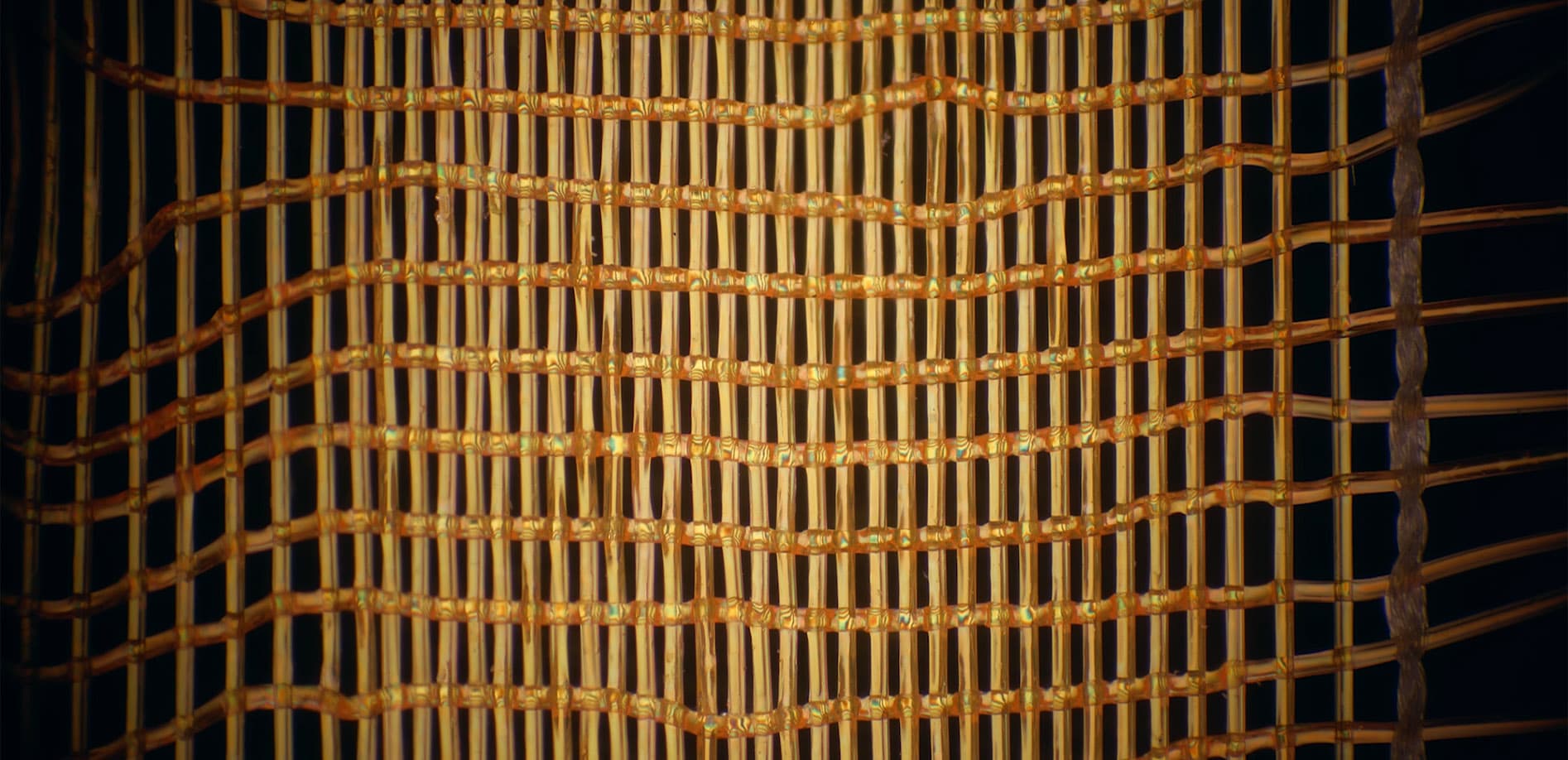 ミクロの世界 様々な繊維_8K