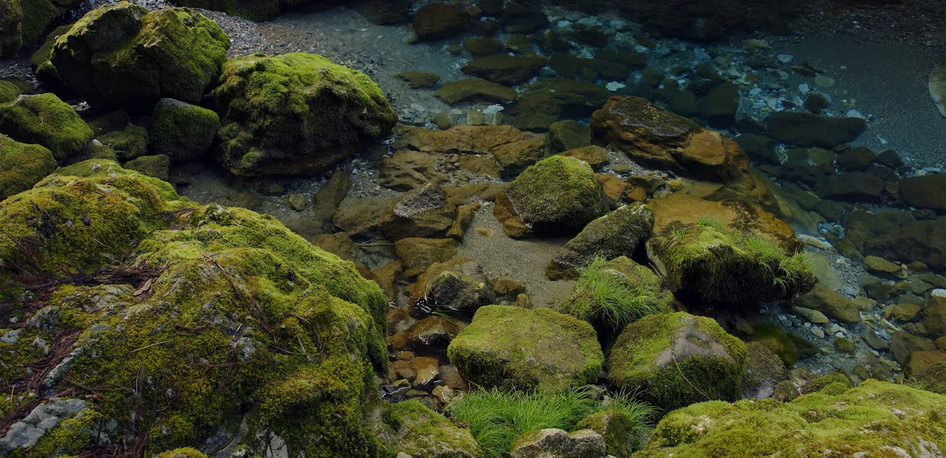 岐阜 清流 円原川_8K