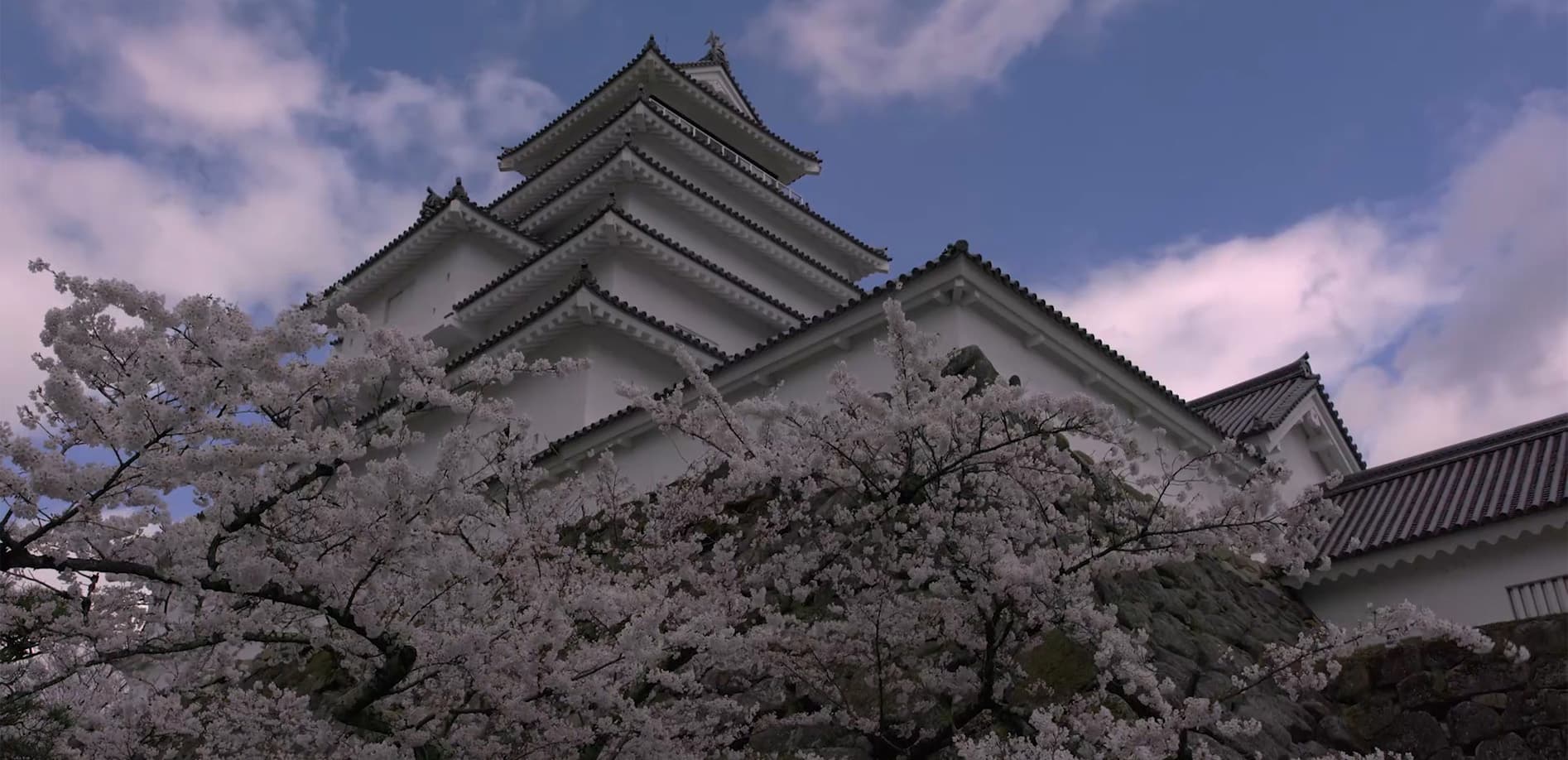 福島 鶴ヶ城の春_8K