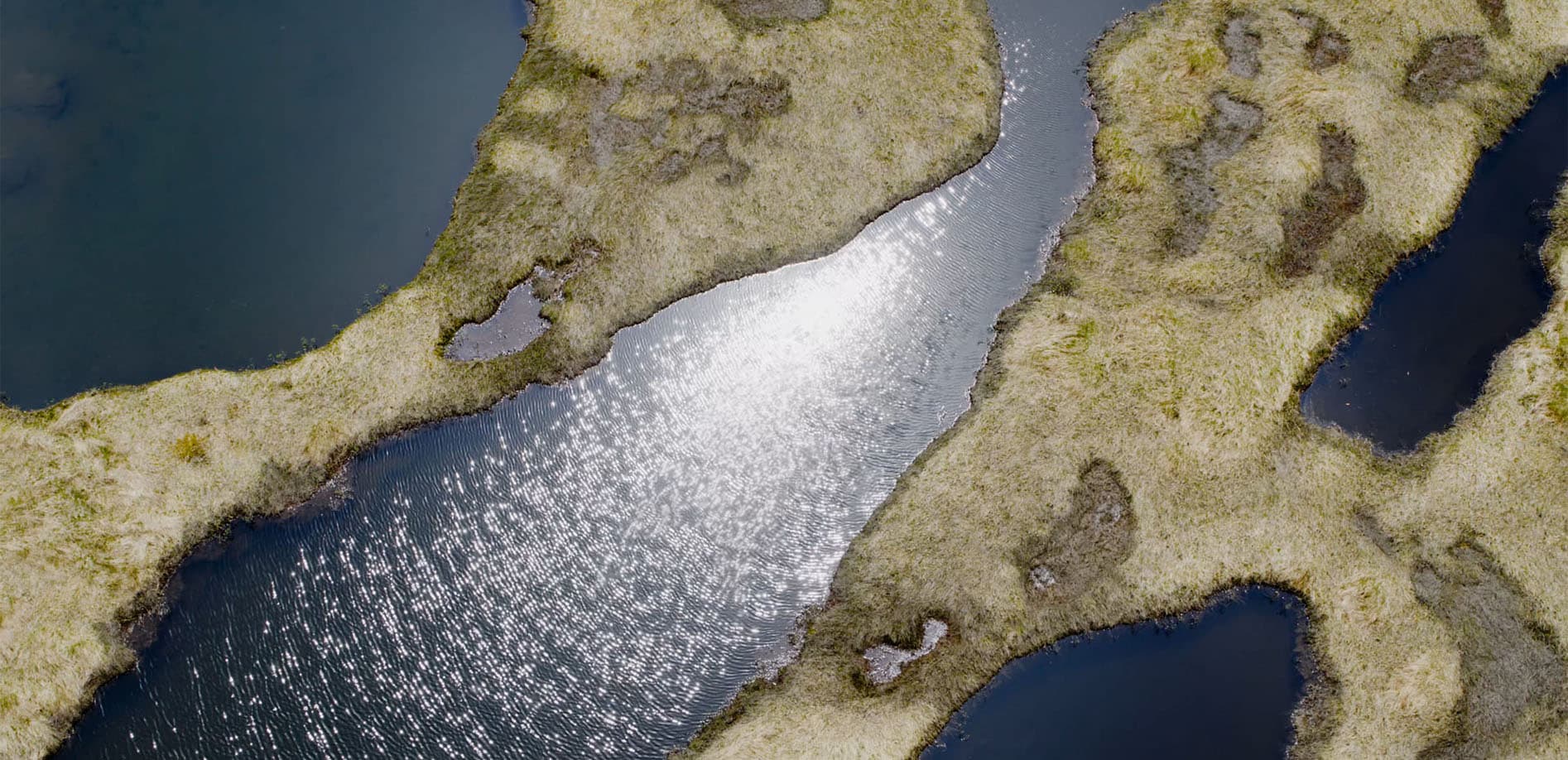 群馬 初夏の尾瀬ヶ原_8K