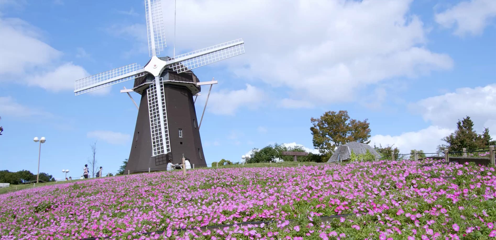 9月の花だより_8K