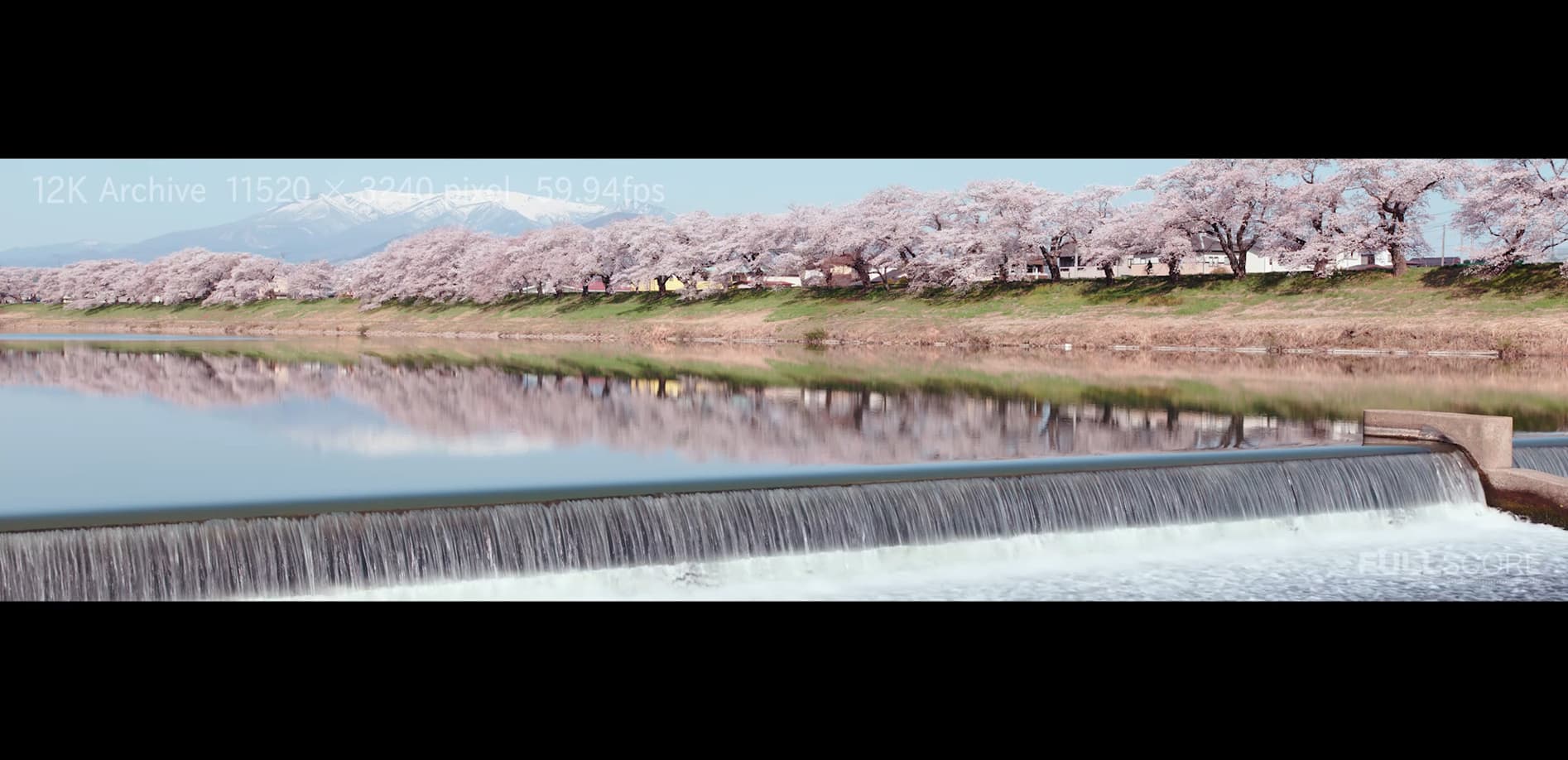 白石川堤一目千本桜_Vol.2 12K WIDE 32:9