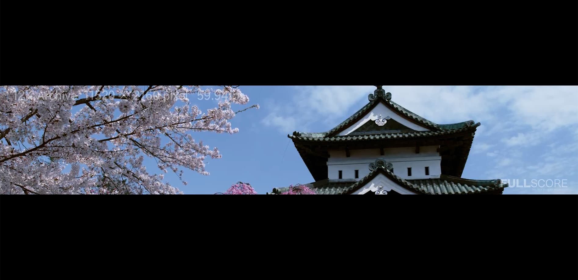 弘前公園 令和の桜_12K WIDE 48:9
