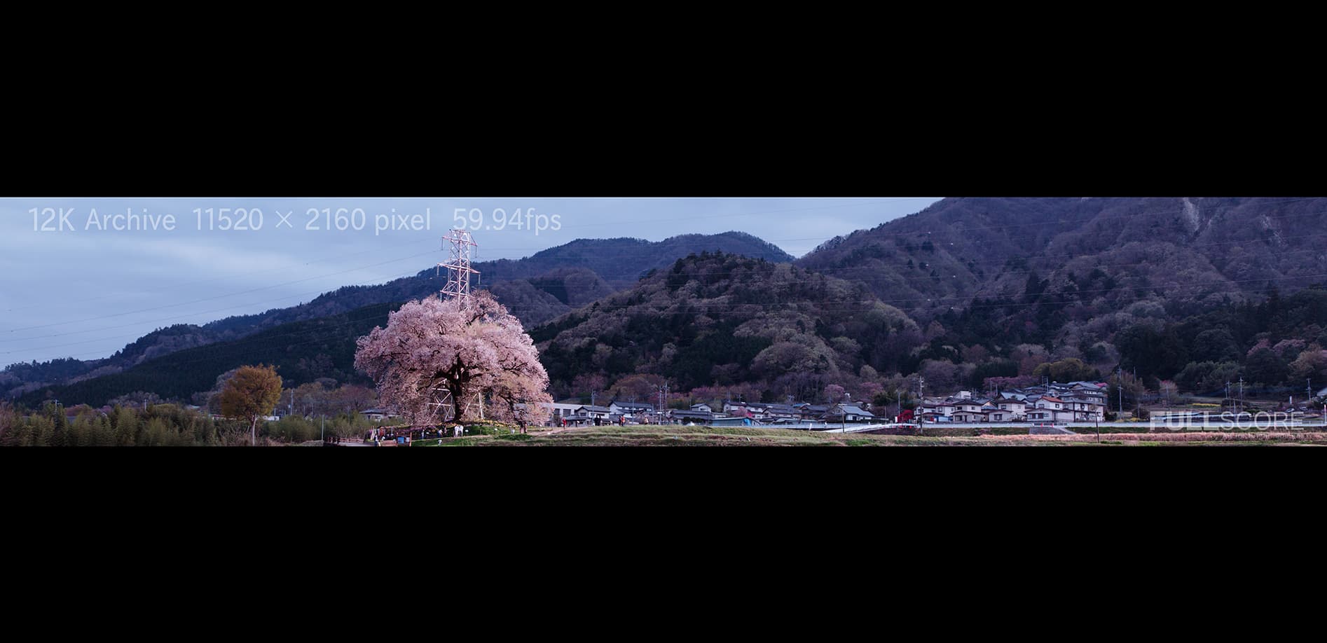 日本桜名所 長野・山梨 12K WIDE 48:9