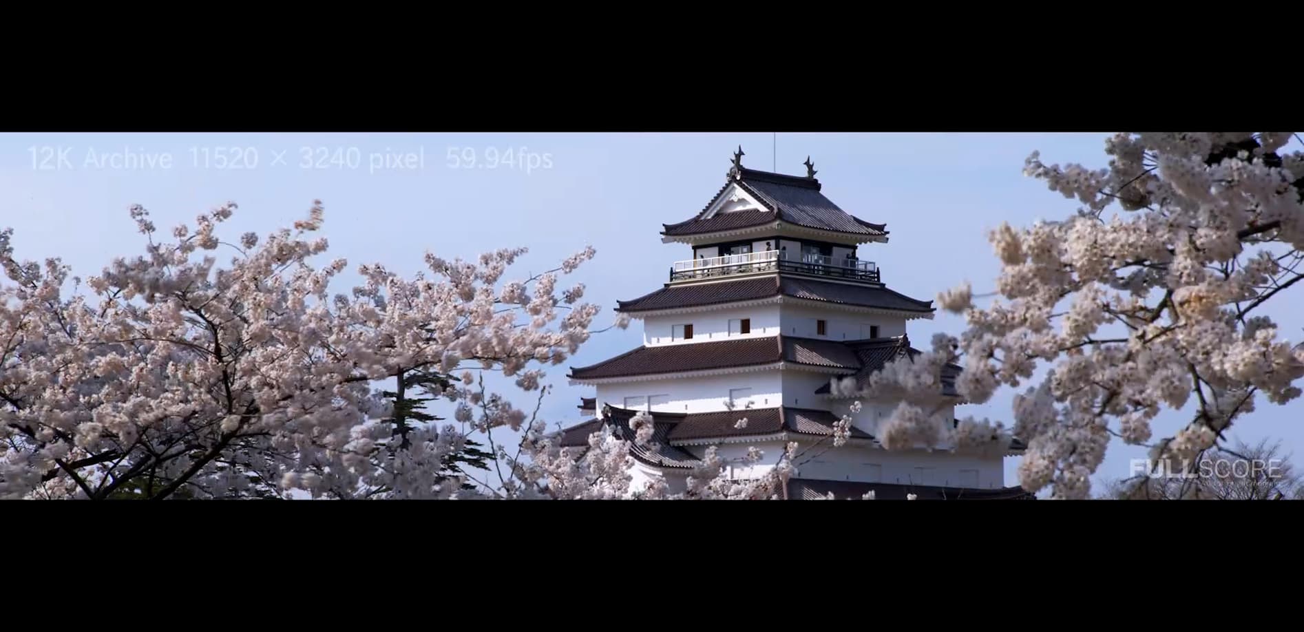 名城 桜の鶴ヶ城  12K WIDE 32:9