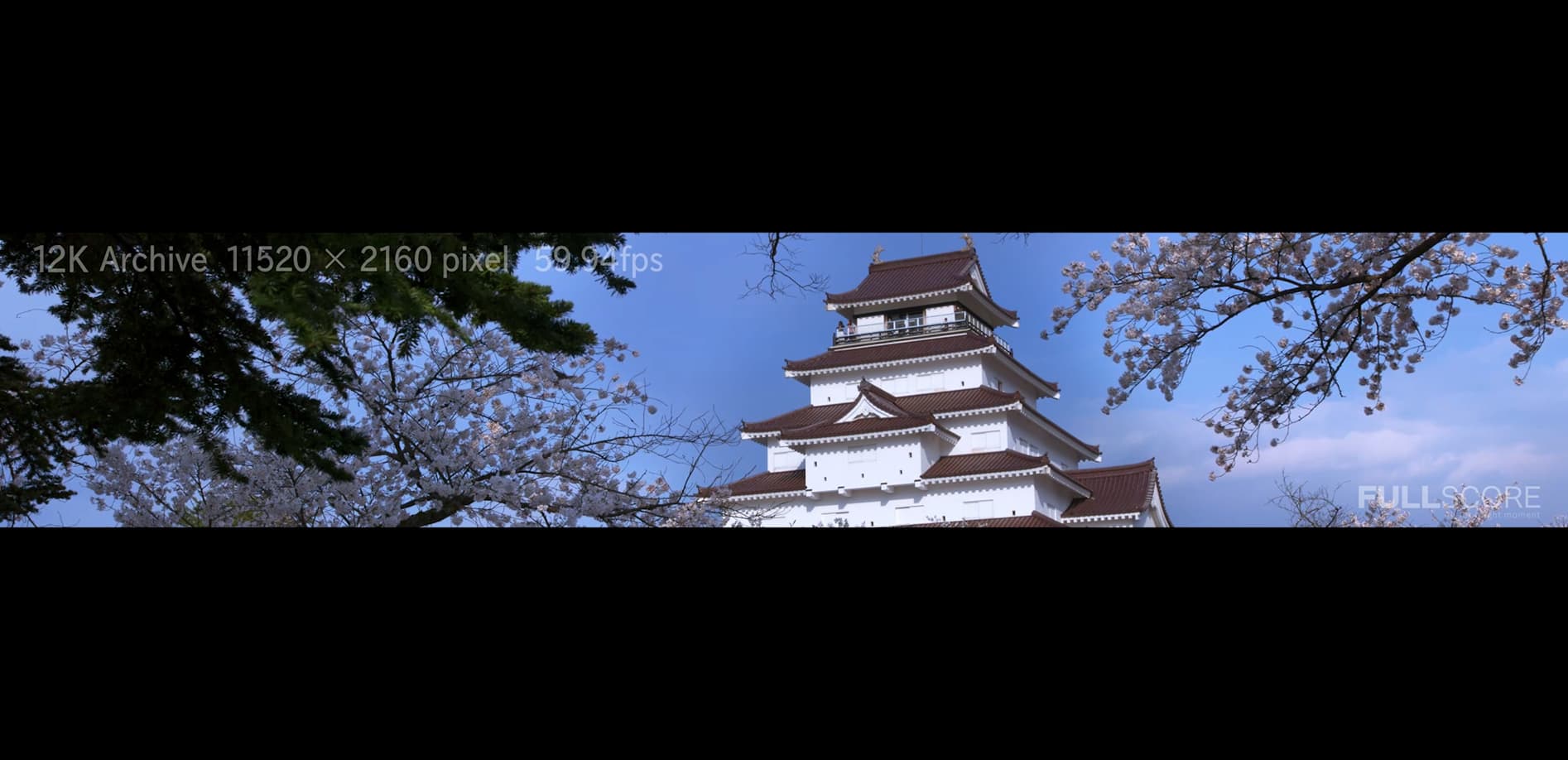 名城 桜の鶴ヶ城 12K WIDE 48:9