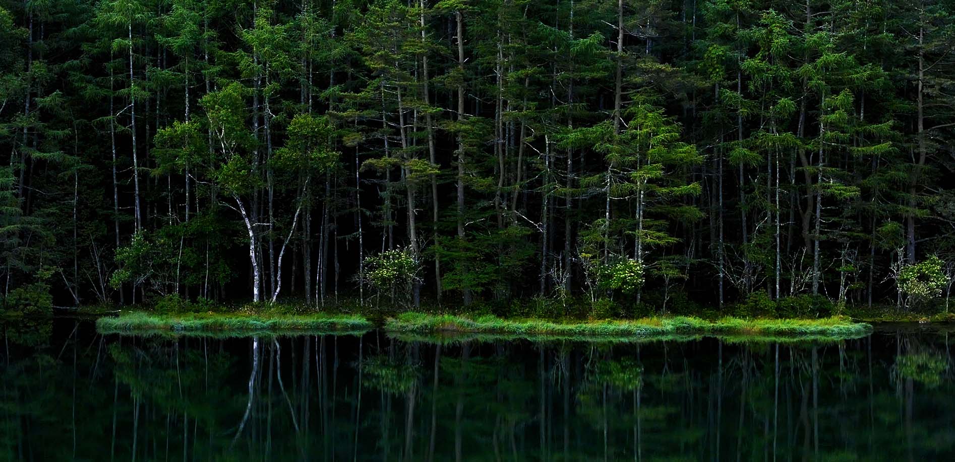 御射鹿池の緑景 早朝