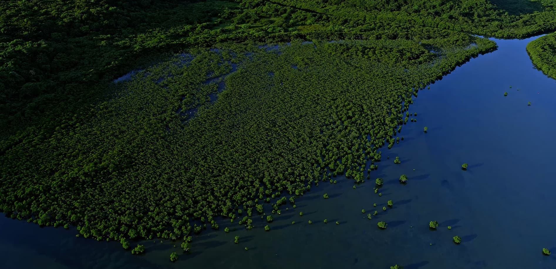 西表_白浜南風見線を飛ぶ_8K