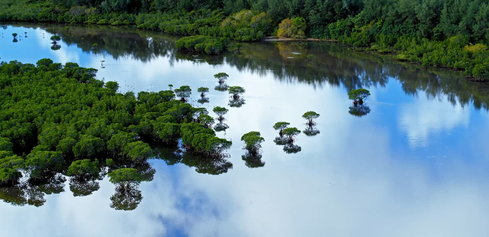 石垣島 名蔵アンパル_8K