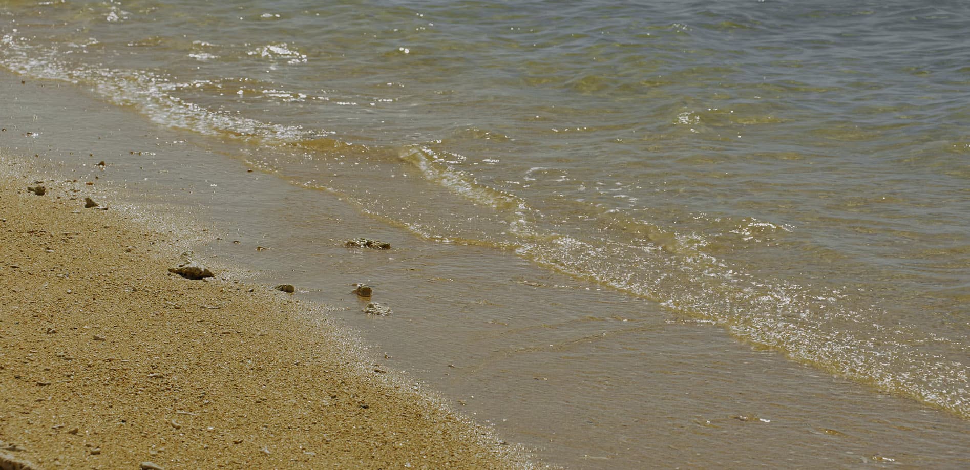 石垣島 フサキビーチの浜_12K