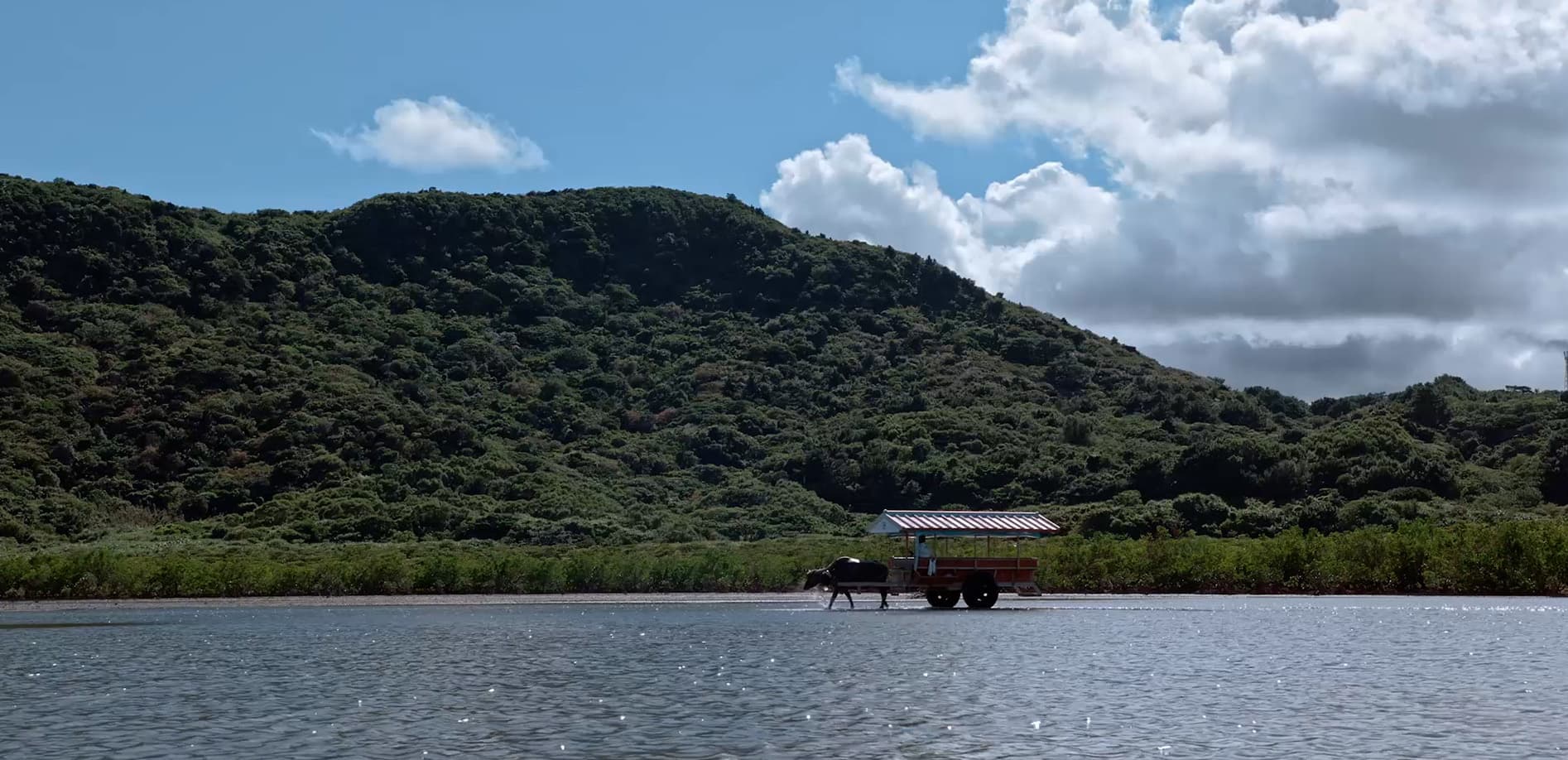 由布島と水牛車_12K